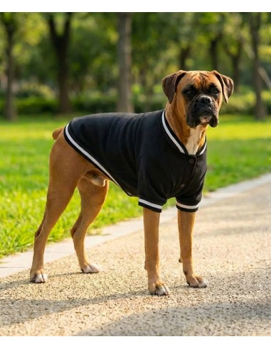 POT-PP005-Veste Varsity pour chien